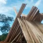 Sengketa Lahan Taman Buru Semidang Bukit Kabu, Antara Fungsi Konservasi BKSDA dan Hak Historis Desa Sengketa Lahan Taman Buru Semidang Bukit Kabu, Antara Fungsi Konservasi BKSDA dan Hak Historis Desa