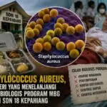 Staphylococcus Aureus, Bakteri yang Menelanjangi Celah Biologis Program MBG di SDN 18 Kepahiang Staphylococcus Aureus, Bakteri yang Menelanjangi Celah Biologis Program MBG di SDN 18 Kepahiang