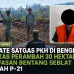 Update Satgas PKH di Bengkulu, Berkas Perambah 30 Hektar Kawasan Bentang Seblat Sudah P-21 Update Satgas PKH di Bengkulu, Berkas Perambah 30 Hektar Kawasan Bentang Seblat Sudah P-21