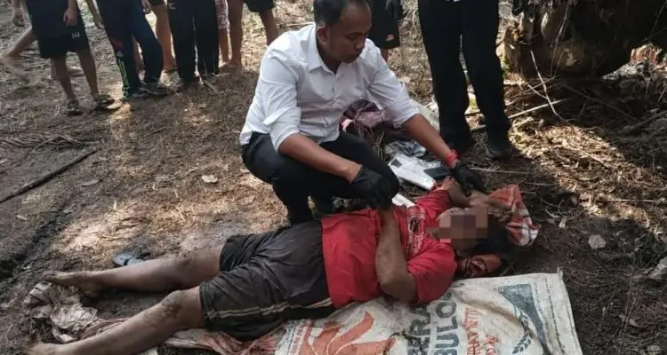 Petani Perempuan di Seluma Ditemukan Meninggal di Kebun Sawit Usai ke Posyandu