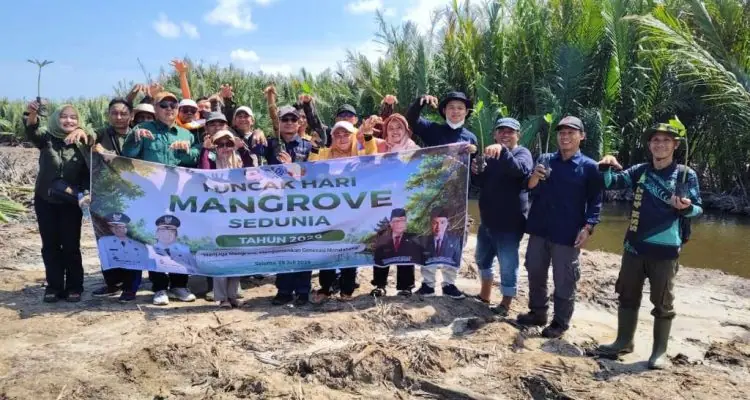Sempat Diwarnai Aksi Penolakan Warga, Penanaman 1.000 Mangrove di Seluma Tetap Berjalan Lancar Sempat Diwarnai Aksi Penolakan Warga, Penanaman 1.000 Mangrove di Seluma Tetap Berjalan Lancar