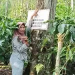 Perempuan Petani Batu Ampar Jadi Perisai Satwa, Tancapkan Larangan Berburu di Kebun Kopi