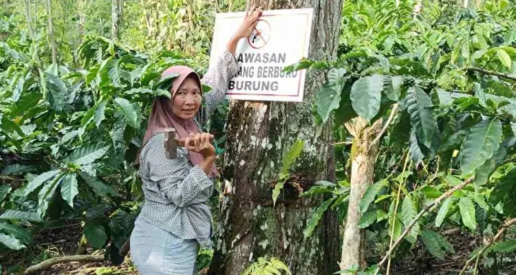 Perempuan Petani Batu Ampar Jadi Perisai Satwa, Tancapkan Larangan Berburu di Kebun Kopi