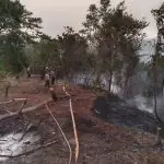 Bakar Sampah, Lahan Pemkab Seluma ikut Terbakar Bakar Sampah, Lahan Pemkab Seluma ikut Terbakar