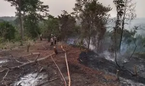 Bakar Sampah, Lahan Pemkab Seluma ikut Terbakar Bakar Sampah, Lahan Pemkab Seluma ikut Terbakar