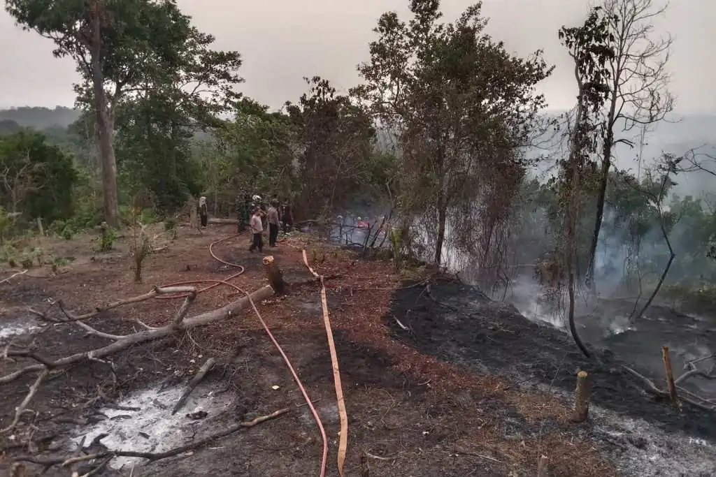 Bakar Sampah, Lahan Pemkab Seluma ikut Terbakar Bakar Sampah, Lahan Pemkab Seluma ikut Terbakar