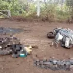 Pemotor Meninggal Dunia Tertabrak Tronton Milik PT Selamat Jaya Persada di Pulau Baai Pemotor Meninggal Dunia Tertabrak Tronton Milik PT Selamat Jaya Persada di Pulau Baai