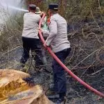 Polsek Rimbo Pengadang Bersama Warga Padamkan Karhutla di Tik Kuto Polsek Rimbo Pengadang Bersama Warga Padamkan Karhutla di Tik Kuto