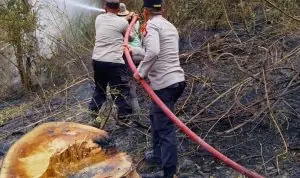 Polsek Rimbo Pengadang Bersama Warga Padamkan Karhutla di Tik Kuto Polsek Rimbo Pengadang Bersama Warga Padamkan Karhutla di Tik Kuto