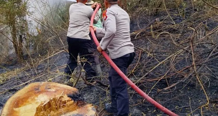Polsek Rimbo Pengadang Bersama Warga Padamkan Karhutla di Tik Kuto Polsek Rimbo Pengadang Bersama Warga Padamkan Karhutla di Tik Kuto