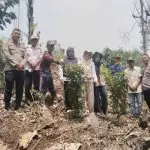 Kapolsek Lebong Selatan Dorong BUMDes Tik Jeniak Serius Kelola Ketahanan Pangan Kapolsek Lebong Selatan Dorong BUMDes Tik Jeniak Serius Kelola Ketahanan Pangan
