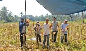 Ketua BUMDes Stobo Rikiak Dorong Pengawasan dan Transparansi Pengelolaan Usaha Ketua BUMDes Stobo Rikiak Dorong Pengawasan dan Transparansi Pengelolaan Usaha
