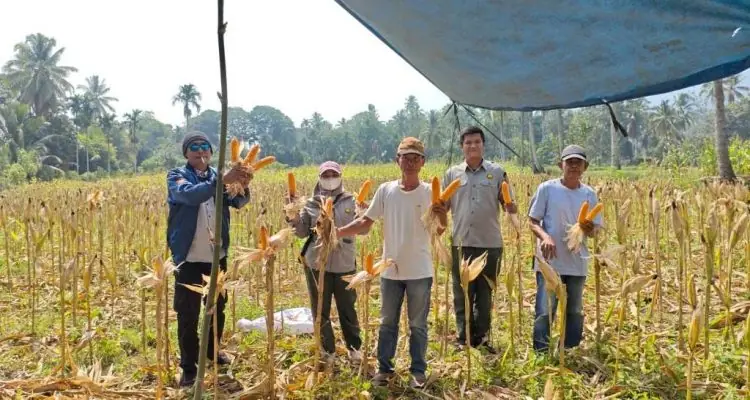Ketua BUMDes Stobo Rikiak Dorong Pengawasan dan Transparansi Pengelolaan Usaha