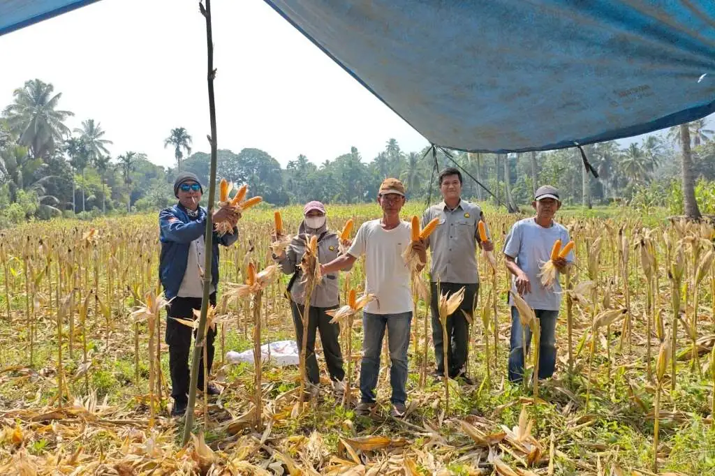 Ketua BUMDes Stobo Rikiak Dorong Pengawasan dan Transparansi Pengelolaan Usaha Ketua BUMDes Stobo Rikiak Dorong Pengawasan dan Transparansi Pengelolaan Usaha