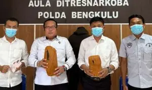 Polda Bengkulu Sita Ganja 2 Kg dari Pria Warga Penurunan Polda Bengkulu Sita Ganja 2 Kg dari Pria Warga Penurunan