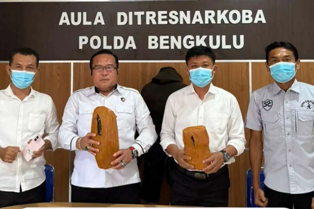 Polda Bengkulu Sita Ganja 2 Kg dari Pria Warga Penurunan Polda Bengkulu Sita Ganja 2 Kg dari Pria Warga Penurunan